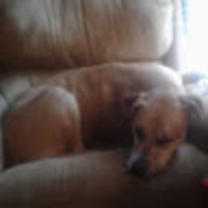 Meet your Posher, Lily